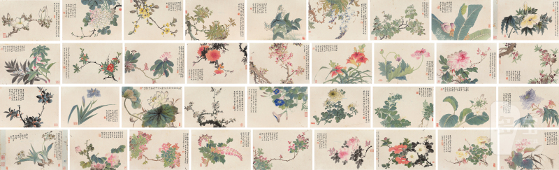 潘祖恩画、赵藩题（清） 写生花卉册 - 图2